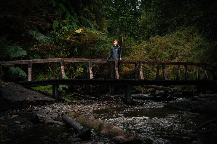 Maxine standing on a bridge over a stream looking up at the lush Valdivian Rainforest. Santa Barbara beach, Chaitén, Chile.