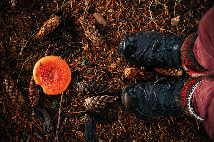 Maxine standing by an Amanita Muscaria Mushroom